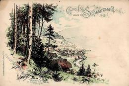 Schwarzwaldhaus, Gruß Aus Dem Schwarzwald, Farbige Künstlerkarte (Blick Ins Tal, Sign. W.Hasemann), Etwas Fleckig I-II - Geschiedenis