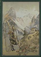 Berge Buch 20 Bände Zeitschrift Des Deutschen Und Österreichischen Alpenvereins 1895 - 1918 II - Sonstige & Ohne Zuordnung