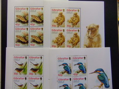 GIBRALTAR 1999 EUROPA CEPT Yvert 853 / 56 ** MNH PAJAROS PECES MONOS - 1999