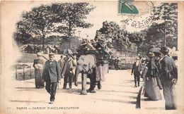 ¤¤  -  PARIS   -   Le Jardin D'Acclimatation   -  Promenade Sur L'Eléphant       -  ¤¤ - Arrondissement: 16