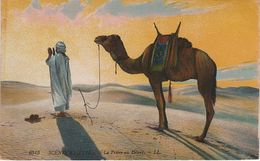 AK Prière Au Désert Sahara Scènes Types Berber Tuareg Touareg Berbère Bédouin Niger Afrique Vintage Lehnert Landrock ? - Niger