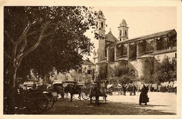 CORSE  -  BASTIA - LA PLACE DU MARCHE - Nombreux Attelages + Animation - Bastia