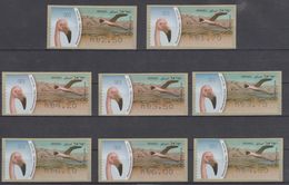 ISRAEL 2010 KLUSSENDORF ATM BIRD FLAMINGO FULL SET OF 8 STAMPS - Franking Labels