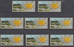 ISRAEL 2013 KLUSSENDORF ATM FLOWER BLUE WATER LILY FULL SET OF 8 STAMPS - Viñetas De Franqueo (Frama)