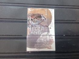 Nederland / The Netherlands - Reptielen, Knoflookpad 2018 - Used Stamps