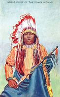 CPA (indiens D Amerique )HORSE CHIEF OF THE PONCA INDIANS - Amerika