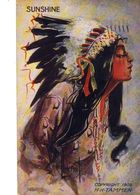 CPA (indiens D Amerique )HORSE CHIEF OF THE PONCA INDIANS - Amerika