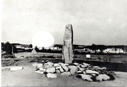 PLEUMEUR BODOU - STATION SPATIALE - MENHIR ET RADOME - Pleumeur-Bodou