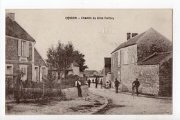 CESSON - 77 - Seine Et Marne - Chemin Du Gros Caillou - Cesson