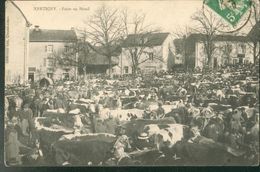 Foire Au Bétail - Xertigny