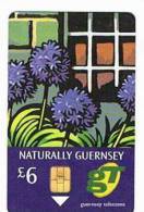 GUERNSEY  - GT CHIP -   NATURALLY GUERNSEY: FLOWERS  6 POUNDS (USED )  -  RIF. 4295 - Fleurs