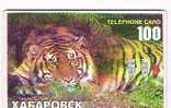 RUSSIA  -  KHABAROVSK -    EXITON CHIP -  TIGER  100 UNITS 10.94    TIRAGE 1000    (USED) - RIF. 7090 - Oerwoud