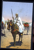 Delcampe - CAVALIER - Männer