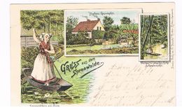 D-8057   SPREEWALDE : Gruss Aus ( Litho) - Lübben