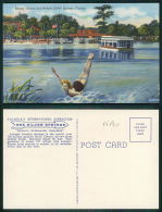 USA [OF #15640] - FLORIDA BEATY ABOVE AND BELOW SILVER SPRINGS - Silver Springs