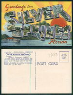 USA [OF #15653] - FLORIDA FL - GREETINGS FROM SILVER SPRINGS - Silver Springs