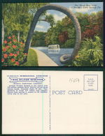 USA [OF #15654] - FLORIDA FL - THE HORSE SHOE PALM AT SILVER SPRINGS - Silver Springs