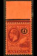 1921-29 £1 Purple And Black On Red, Watermark Multi Crown CA, SG 61, Superb Never Hinged Mint. For More Images, Please V - Altri & Non Classificati