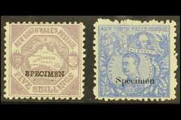 NEW SOUTH WALES 1890 5s & 10s Centenary Issue Opt'd "SPECIMEN", SG 263s/64s, Mint Part OG, Fresh And Attractive (2 Stamp - Sonstige & Ohne Zuordnung