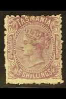 TASMANIA 1875 5s Mauve, Perf 11½, SG 149b, Fine Mint Large Part Og, Couple Of Short Perfs Otherwise Fresh With Bright Co - Other & Unclassified