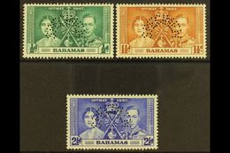 1937 Coronation Set Complete, Perforated "Specimen", SG 146s/8s, Very Fine Mint, Large Part Og. (3 Stamps) For More Imag - Otros & Sin Clasificación