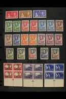 1937-1952 KGVI Very Fine Mint (much Never Hinged) Collection. A Complete Basic Run, The Definitives With Additional Shad - Autres & Non Classés