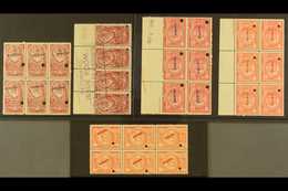 PHARMACEUTICAL REVENUES 1916 'Henrique N. Santos Pharmaceutico' Three Blocks Of 6 (different Shades) Each With A Differe - Other & Unclassified