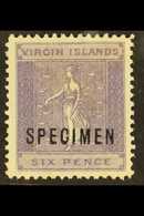 1887-89 6d Dull Violet With "SPECIMEN" Overprint, SG 38s, Fine Mint, Lovely Fresh Colour. For More Images, Please Visit  - British Virgin Islands