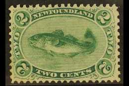 1865-70 2c Yellowish Green Atlantic Cod, Perf 12 On Thin Yellowish Paper, SG 25, Fine Mint With Original Gum. For More I - Other & Unclassified