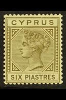 1882-86 6pi Olive-grey, Die I, Watermark Crown CA, SG 21, Fine Mint. For More Images, Please Visit Http://www.sandafayre - Otros & Sin Clasificación