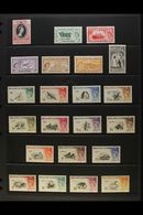 1953-90  SUPERB NHM COLLECTION WITH "EXTRAS". A Lovely Quality, Virtually Complete Collection Presented On Album & Stock - Falkland Islands