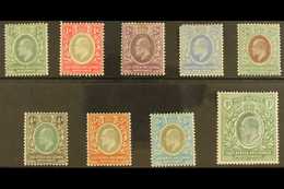 1903-04 KEVII Set To 1R, SG 1/9, Fine Mint, The 2½a Faulty. (9 Stamps) For More Images, Please Visit Http://www.sandafay - Vide