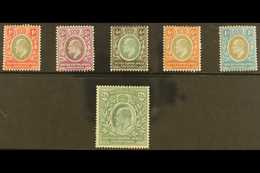 1903-04 KEVII Set To 2s6d, SG 59/63, Fine Mint. Fresh And Attractive. (6 Stamps) For More Images, Please Visit Http://ww - Nyasaland (1907-1953)