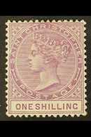 1890 1s Bright Mauve, SG 21, Very Fine Mint. For More Images, Please Visit Http://www.sandafayre.com/itemdetails.aspx?s= - St.Christopher-Nevis-Anguilla (...-1980)