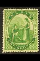 1876 1s Yellow-green, SG 14, A Stunningly Fresh Mint Example With Vibrant Colour, Good Perfs And Large Part Gum, A Gem!  - San Cristóbal Y Nieves - Anguilla (...-1980)