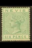 1883 6d Green, SG 32, A Beautifully Fresh Mint Example With Stunning Colour And Large Part Gum, Hard To Find So Nice. Fo - St.Christopher-Nevis & Anguilla (...-1980)