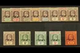 1903 Ed VII Set, Wmk CA, Overprinted "Specimen", SG 73s/85s, Very Fine Mint. (13 Stamps) For More Images, Please Visit H - Sierra Leone (...-1960)