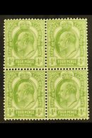 CAPE OF GOOD HOPE 1902-04 4d Olive Green, SG 75, Never Hinged Mint Block Of Four, The Upper Pair With Light Bend For Mor - Non Classificati