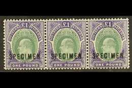 1903-04 £1 Green And Violet, Wmk Crown CA Overprinted "SPECIMEN" (SG 20s), Very Fine Mint STRIP OF THREE. A Rare Multipl - Nigeria (...-1960)