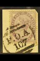 USED IN NATAL 1881 1d Lilac, SG 170, Used "on Piece" Tied By Natal Post Office Agency "107" Cancel For More Images, Plea - Otros & Sin Clasificación