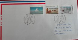 AAT Australian Antarctic  Blizzard  Cover - Stamp Landscape  16/01/1985 - Covers & Documents