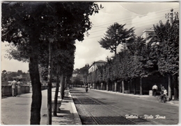 VELLETRI - VIALE ROMA - ROMA - 1960 - Velletri