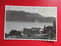 CPA PHOTO SUISSE CHEXBRES MAISON ROBERT ET LES ALPES DE SAVOIE - Chexbres