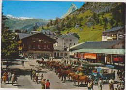 SUISSE,SWITZERLAND,SWISS,HELVETIA,SCHWEIZ ,VALAIS,ZERMATT,ZERMATTER,ATTELAGE,LIBRAIRIE - Zermatt