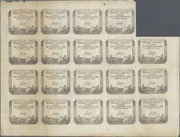 France / Frankreich: 50 Sols Domaines Nationaux 1793 Uncut Sheet With 19 Pcs. With Watermark "RF 50' - Autres & Non Classés