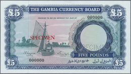 Gambia: The Gambia Currency Board 5 Pounds ND(1965-70) SPECIMEN, P.3s With A Tiny Dint At Upper Cent - Gambia