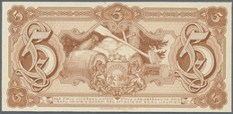 Latvia / Lettland: Very Rare 5 Lati 1926 Back Side Proof Uniface Print P. 23p, Without Serial #, W/o - Lettonia