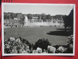 Hamburg - Internationale Gartenbau-Ausstellung 1953: Blick Vom Eulenhügel - Mitte