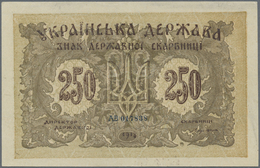 Ukraina / Ukraine: 250 Karbovantsiv 1918 With Small Letters, P.39b In Excellent Condition With A Ver - Ucraina