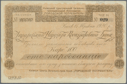 Ukraina / Ukraine: Kiev 100 Karbovanetz 1920 R*15281, Light Handling And Creases In Paper, Condition - Oekraïne